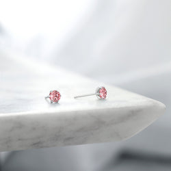 Earrings in Platinum