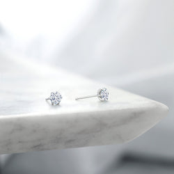 Earrings in Platinum