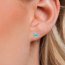 Earrings in 925 Sterling Silver