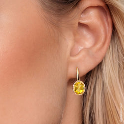 Earrings in 925 Yellow Gold Plated Silver