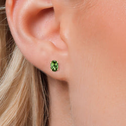 Earrings in 925 Sterling Silver