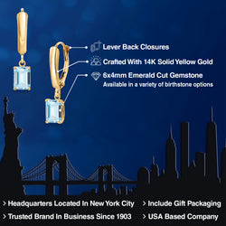 Earrings in 14K Yellow Gold