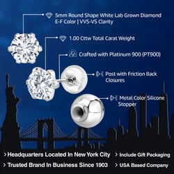 Earrings in Platinum