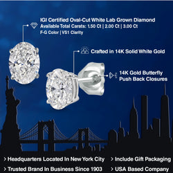 Earrings in 14K White Gold
