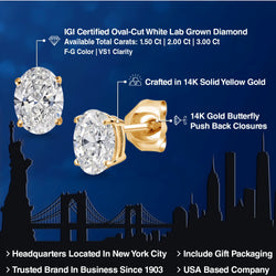 Earrings in 14K Yellow Gold
