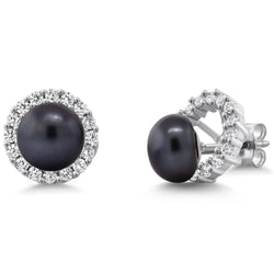 Earrings in 925 Sterling Silver
