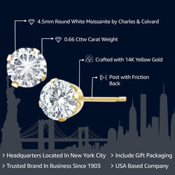 Earrings in 14K Yellow Gold