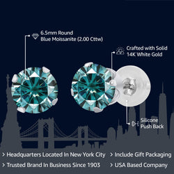 Earrings in 14K White Gold