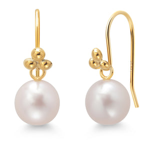 Earrings in 14K Yellow Gold