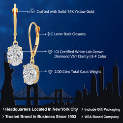 Earrings in 14K Yellow Gold