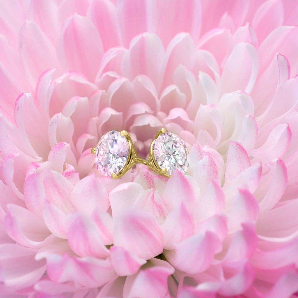 Earrings in 14K Yellow Gold