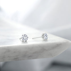 Earrings in Platinum