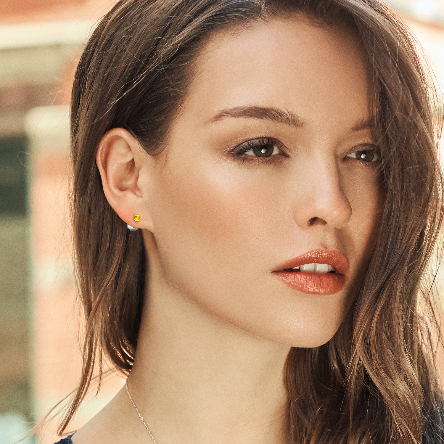 Earrings in Platinum