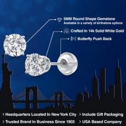 Earrings in 14K White Gold