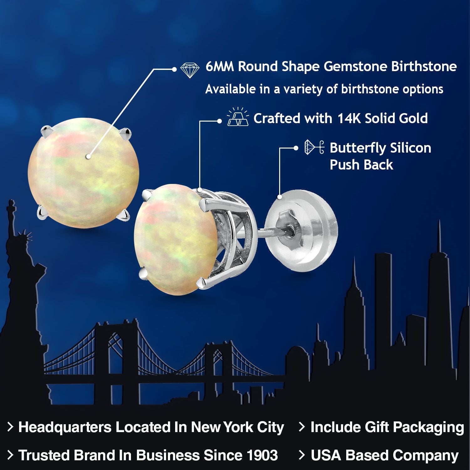 Earrings in 14K White Gold