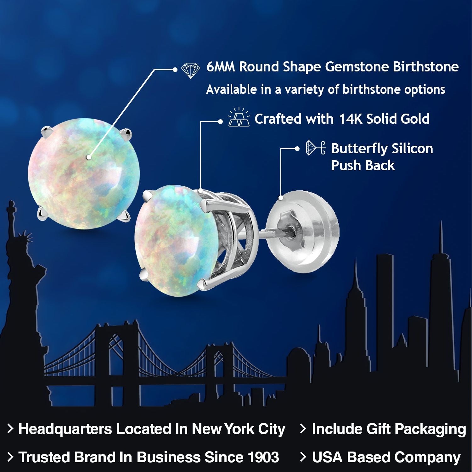 Earrings in 14K White Gold