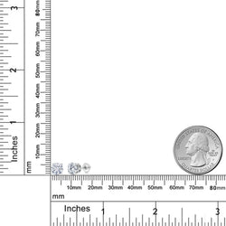 Earrings in 14K White Gold