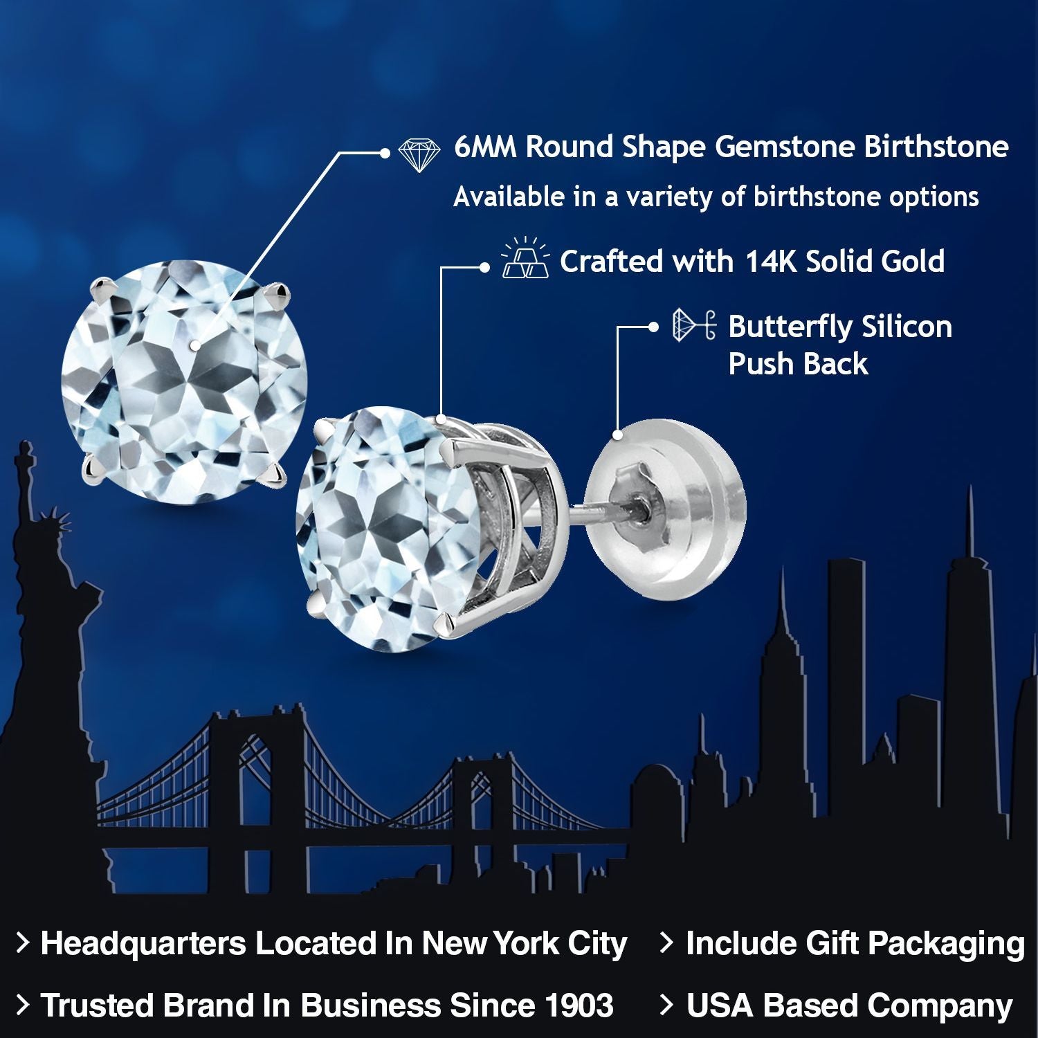 Earrings in 14K White Gold