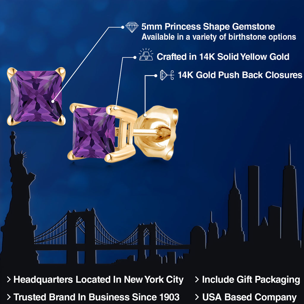 Amethyst - February_Earrings in 14K Yellow Gold