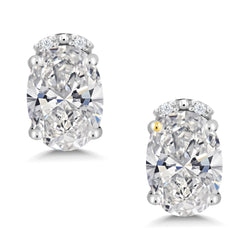 Earrings in 10K White Gold