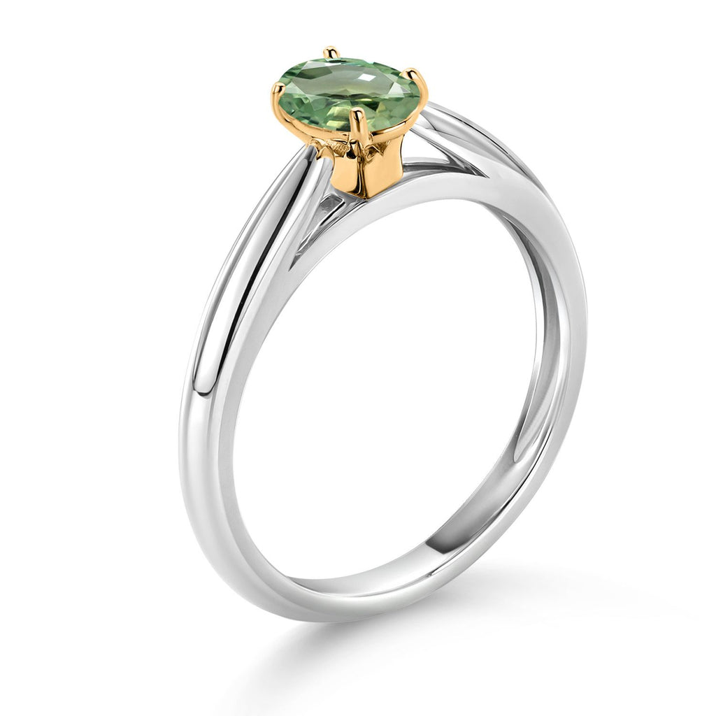 Ring in 10K Two Tone Gold
