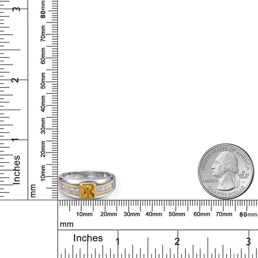 Citrine - November_9_Ring in 925 Sterling Silver and 10K Yellow Gold