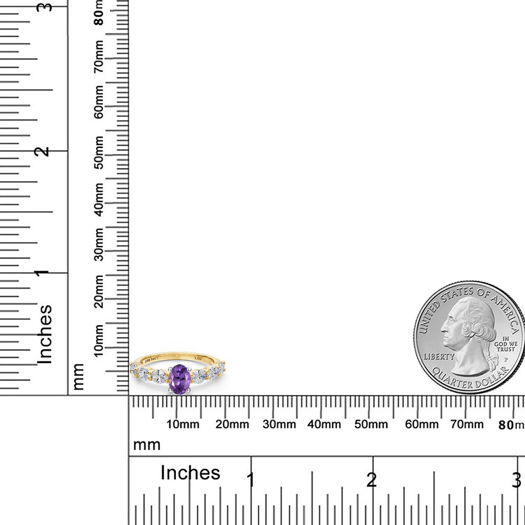 Amethyst - February_Ring in 14K Two Tone Gold