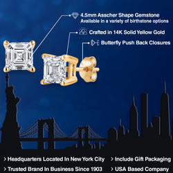 Earrings in 14K Yellow Gold
