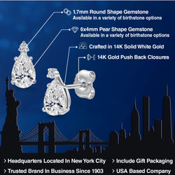 Earrings in 14K White Gold