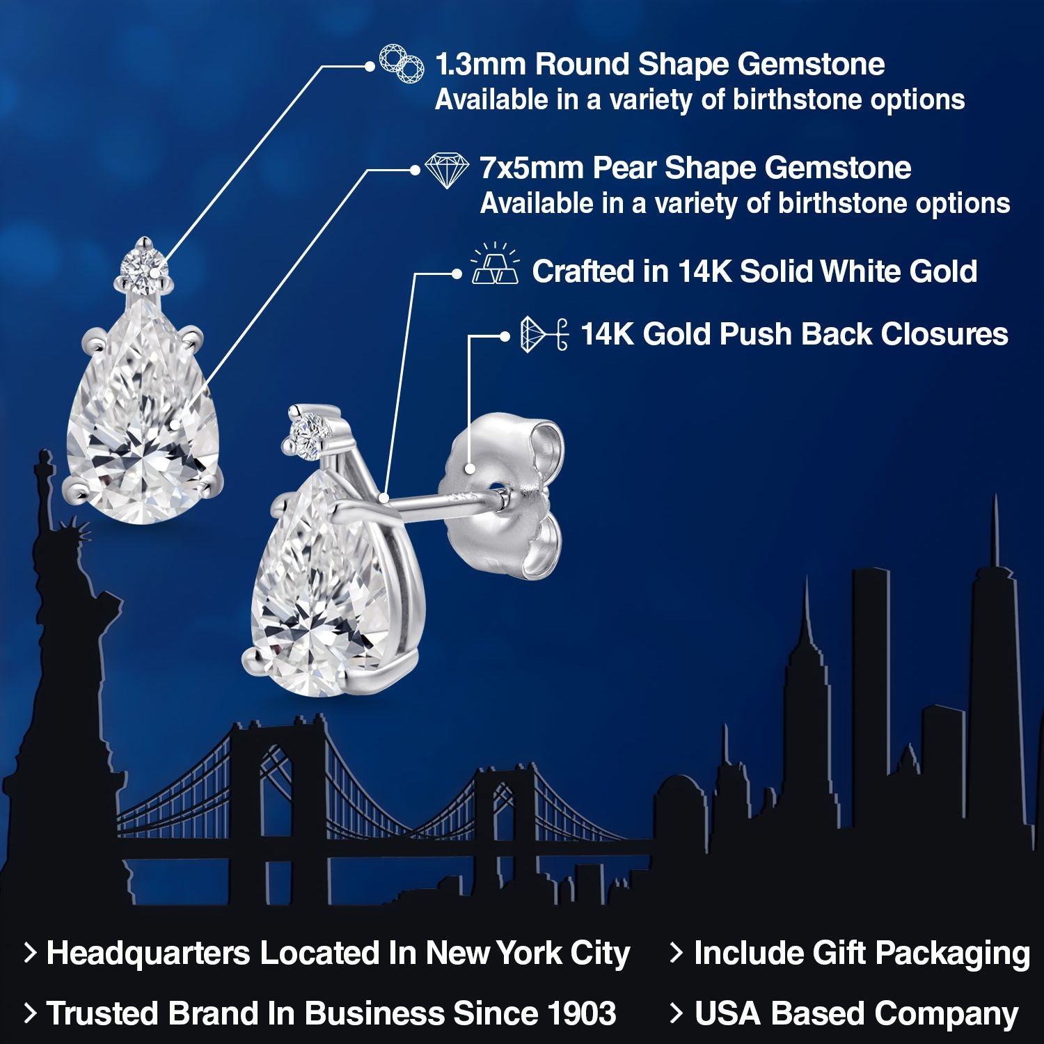 Earrings in 14K White Gold