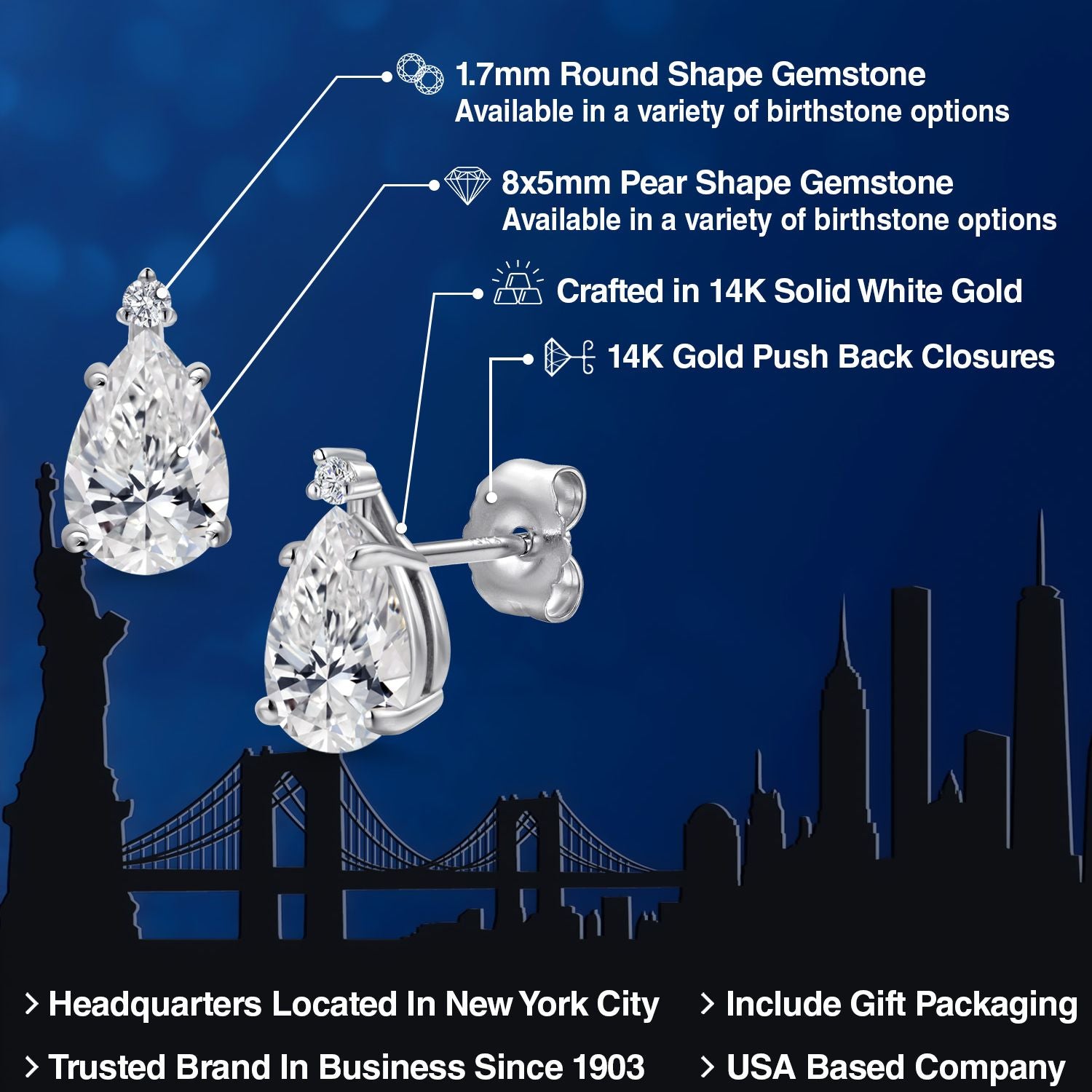 Earrings in 14K White Gold