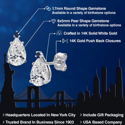 Earrings in 14K White Gold