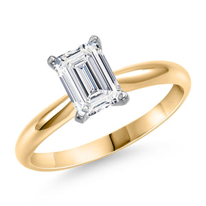 Ring in 14K Two Tone Gold