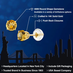 Earrings in 14K Yellow Gold
