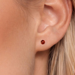 Earrings in 14K Yellow Gold