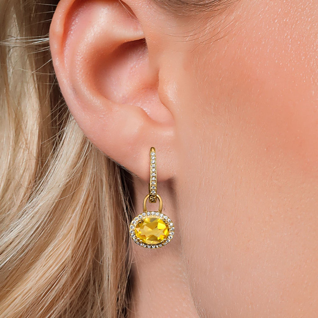 Amethyst - February_Earrings in 925 Yellow Gold Plated Silver