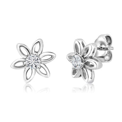 Earrings in 925 Sterling Silver