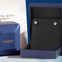 Earrings in 925 Sterling Silver