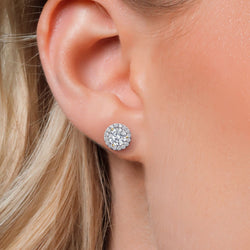Earrings in 14K Two Tone Gold