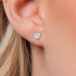 Earrings in 925 Sterling Silver