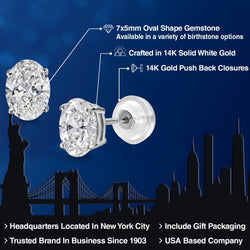 Earrings in 14K White Gold