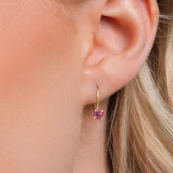 Earrings in 14K Yellow Gold