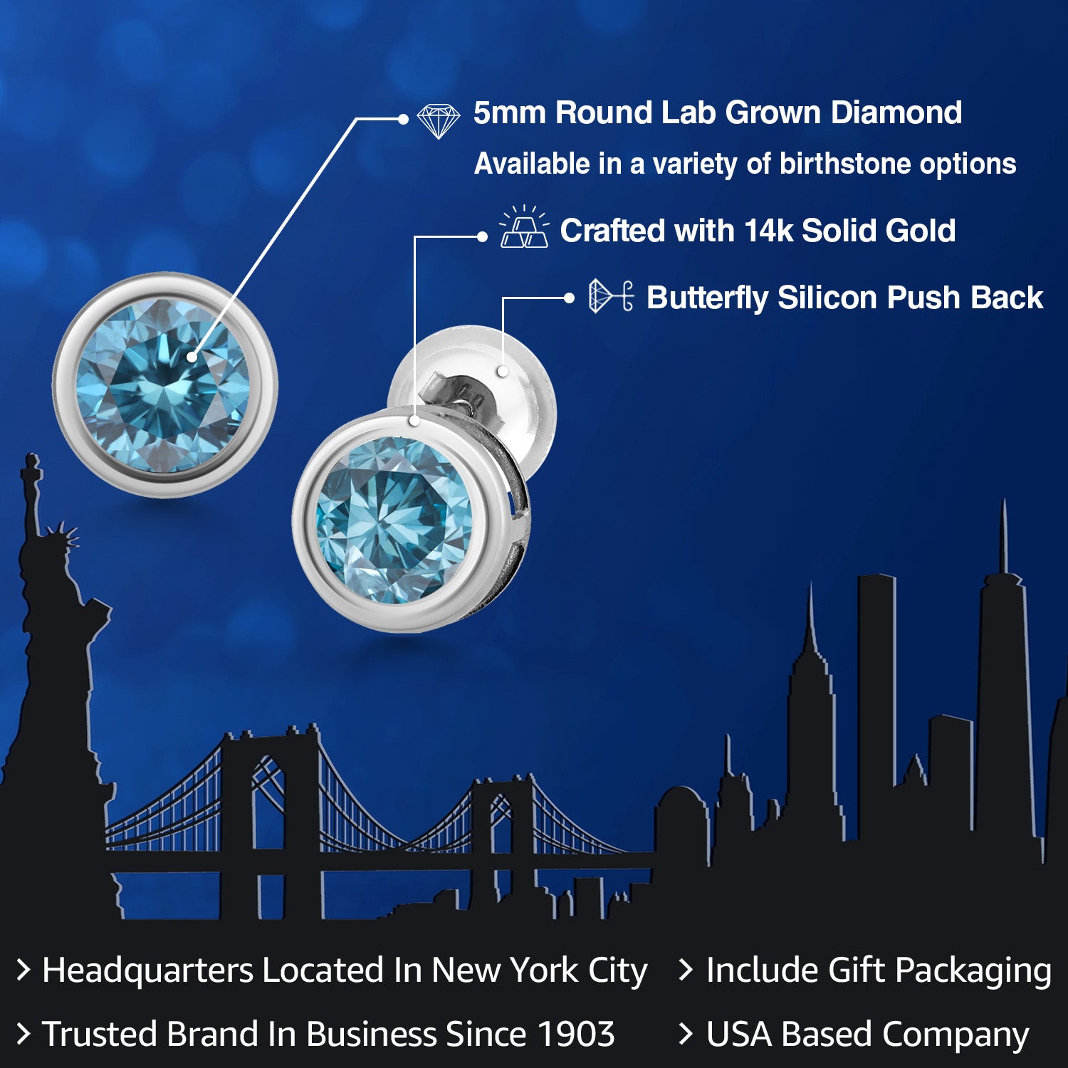 Earrings in 14K White Gold