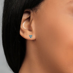 Earrings in 14K Yellow Gold