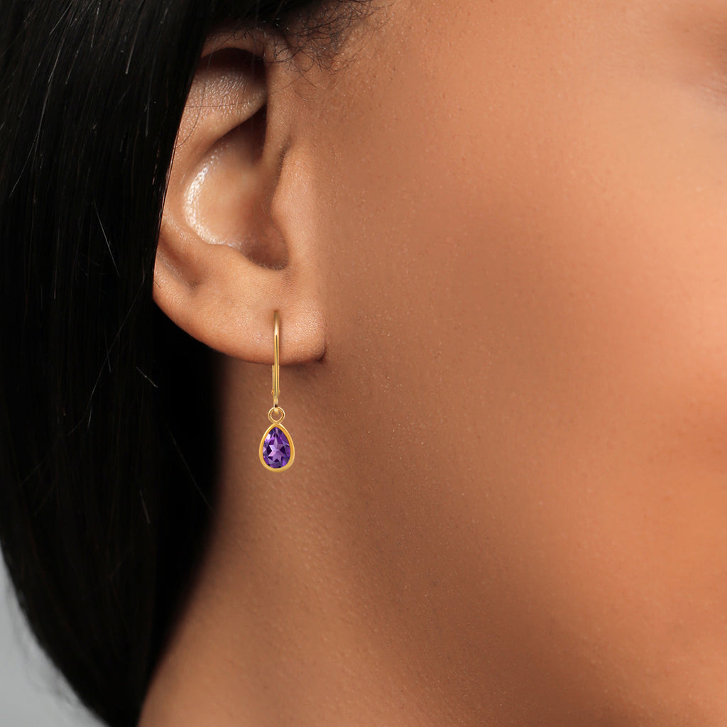 Amethyst - February_Earrings in 14K Yellow Gold