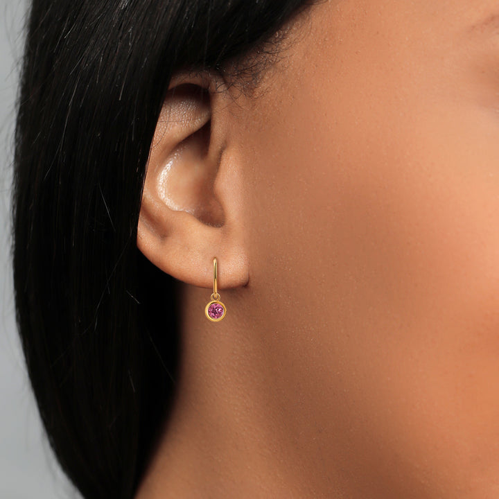 Earrings in 14K Yellow Gold