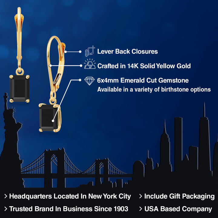 Onyx - December_Earrings in 14K Yellow Gold