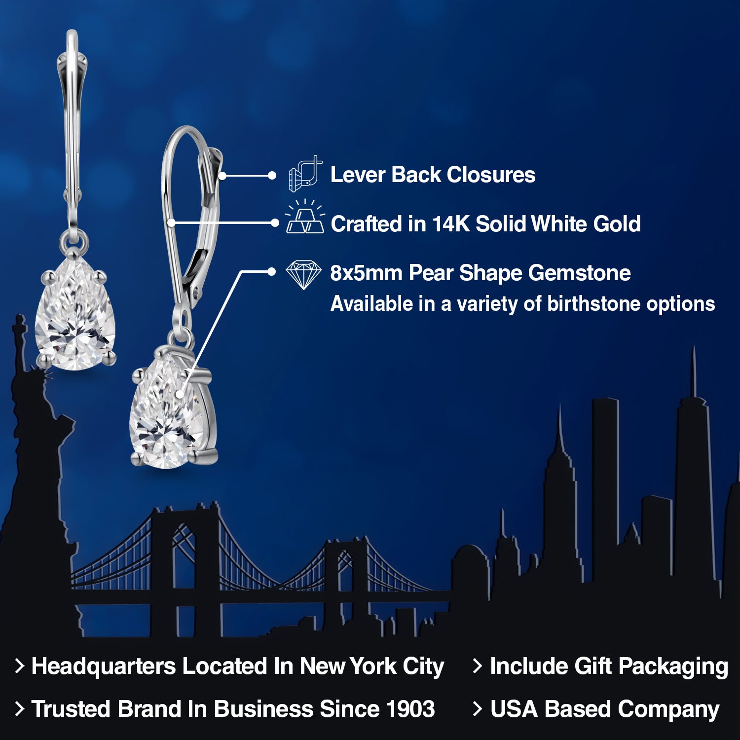 Earrings in 14K White Gold
