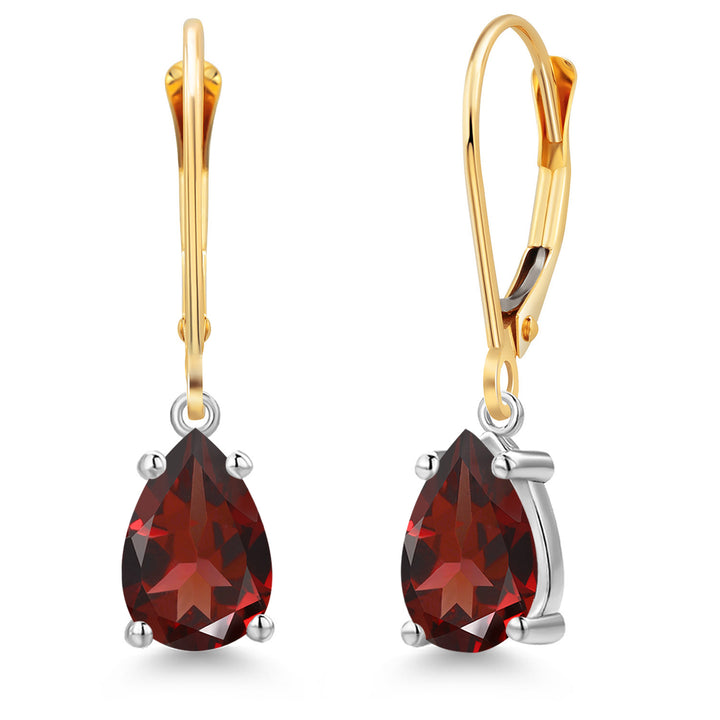 Garnet - January_Earrings in 14K Two Tone Gold