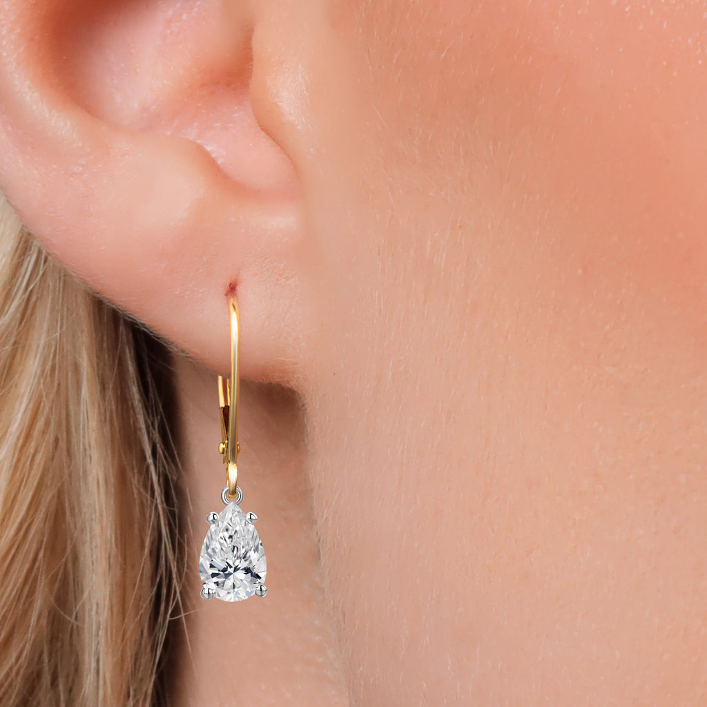 Lab Grown Diamond_Earrings in 14K Two Tone Gold